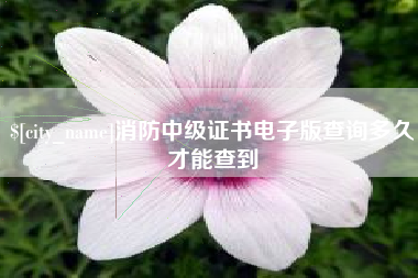 顺德消防中级证书电子版查询多久才能查到
