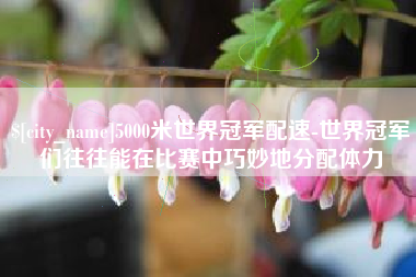 顺德5000米世界冠军配速-世界冠军们往往能在比赛中巧妙地分配体力