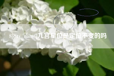 顺德九宫星位是定位不变的吗