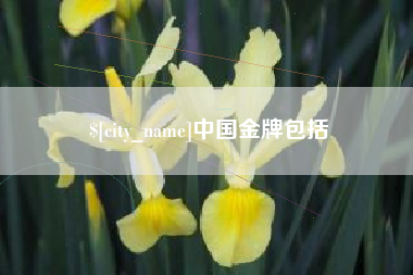 顺德中国金牌包括