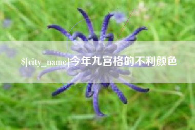 顺德今年九宫格的不利颜色