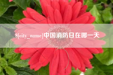 顺德中国消防日在哪一天
