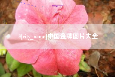 顺德中国金牌图片大全