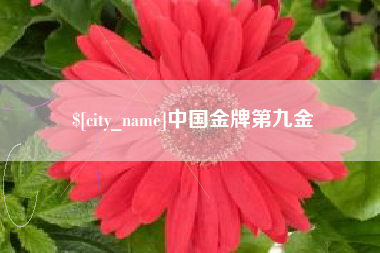 顺德中国金牌第九金