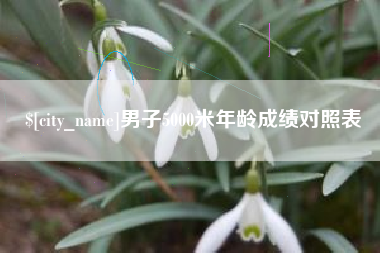 顺德男子5000米年龄成绩对照表