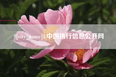 顺德1.中国执行信息公开网