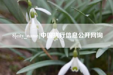 顺德中国执行信息公开网询