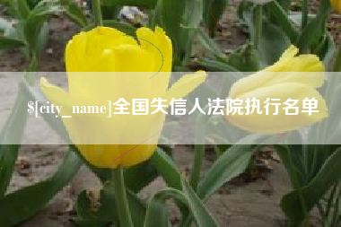 顺德全国失信人法院执行名单