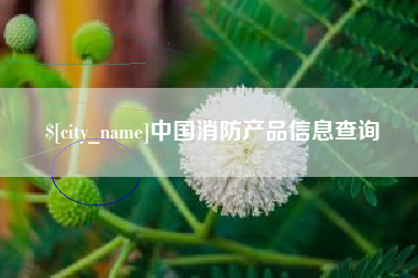 顺德中国消防产品信息查询