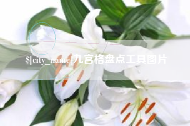 顺德九宫格盘点工具图片