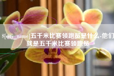 顺德五千米比赛领跑员是什么-他们就是五千米比赛领跑员