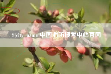 顺德中国消防报考中心官网