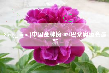 顺德中国金牌榜2024巴黎奥运会最新