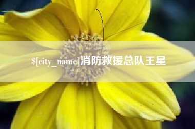 顺德消防救援总队王星
