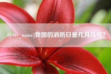 顺德我国的消防日是几月几号？