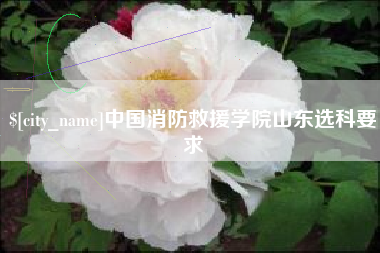 顺德中国消防救援学院山东选科要求