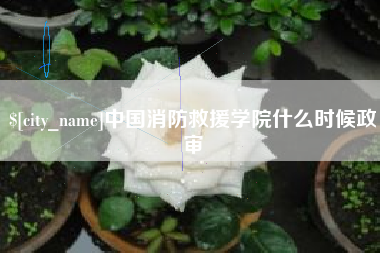 顺德中国消防救援学院什么时候政审