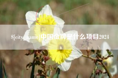 顺德中国金牌是什么项目2024