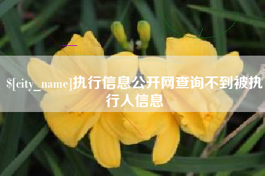 顺德执行信息公开网查询不到被执行人信息