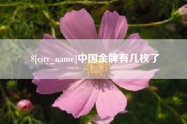 顺德中国金牌有几枚了