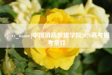 顺德中国消防救援学院2020高考报考条件