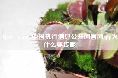 顺德中国执行信息公开网官网app为什么要钱呢