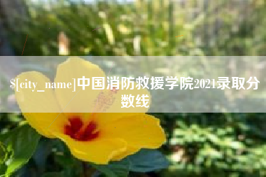 顺德中国消防救援学院2021录取分数线