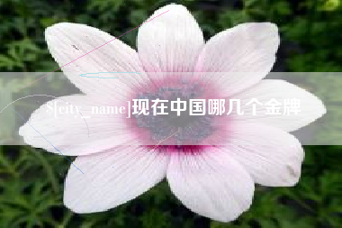 顺德现在中国哪几个金牌