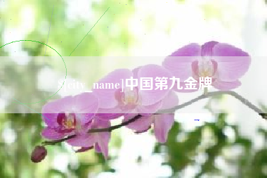 顺德中国第九金牌