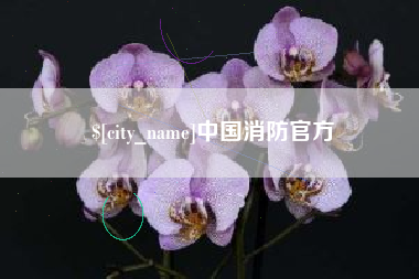 顺德中国消防官方