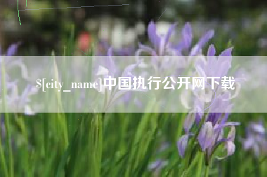 顺德中国执行公开网下载