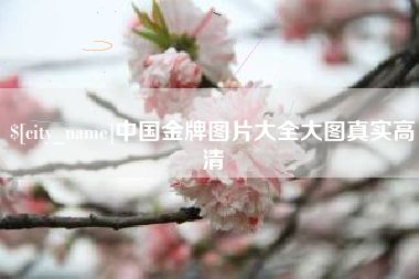 顺德中国金牌图片大全大图真实高清