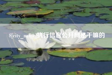 顺德执行信息公开网是干嘛的