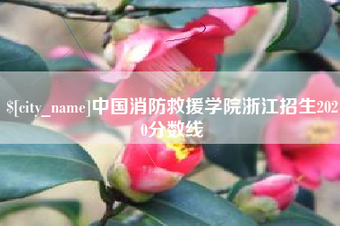 顺德中国消防救援学院浙江招生2020分数线