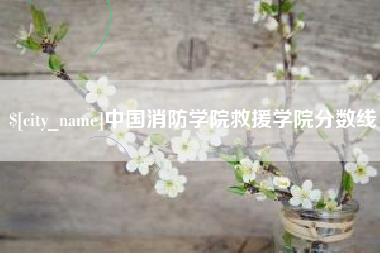 顺德中国消防学院救援学院分数线