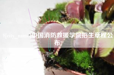 顺德中国消防救援学院招生章程公布!