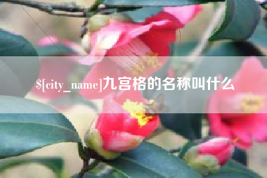 顺德九宫格的名称叫什么