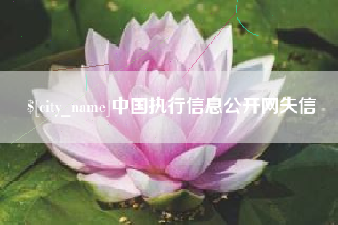 顺德中国执行信息公开网失信