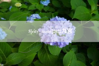 顺德2022九宫