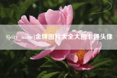 顺德金牌图片大全大图卡通头像
