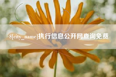 顺德执行信息公开网查询免费