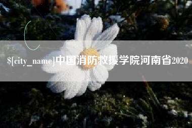 顺德中国消防救援学院河南省2020